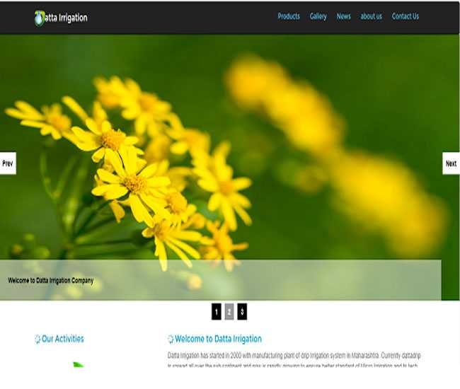 Web Development Of SNY Infosoft Pvt.Ltd