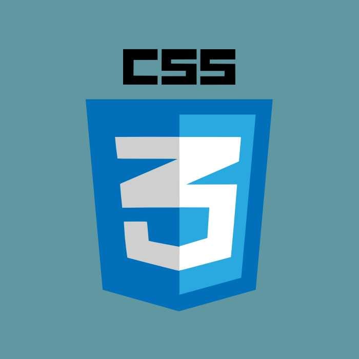 css coding SNY infosoft Pvt.Ltd