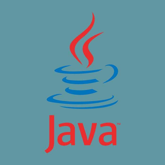 JAVA SNY infosoft Pvt.Ltd